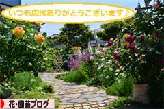 にほんブログ村 花・園芸ブログへ