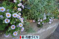 にほんブログ村 花・園芸ブログ 庭・花壇づくりへ